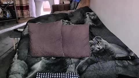 Lana online show from October 2, 3:22 am