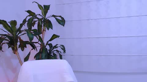 Snapshot of ulala_martina chatting on September 17, 2:20 am Martina online show from September 17, 2:20 am