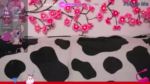 Vasya Sylvia online show from January 19, 3:30 pm