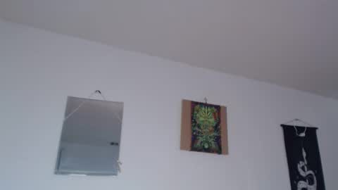 Venus Brave online show from February 9, 8:22 pm