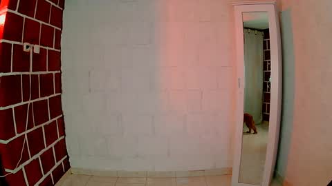 Snapshot of venus_megan chatting on December 29, 4:38 am emily independent account MY conextion 1100 GTM to 17hr GTM online show from December 29, 4:38 am