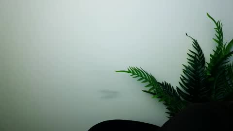 Ana online show from December 2, 6:15 am