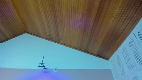 Snapshot of viiolett_lee chatting on December 28, 7:43 pm Viiolett online show from December 28, 7:43 pm