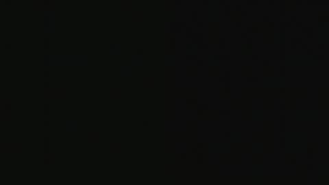 wild_firee_ online show from May 25, 8:08 pm