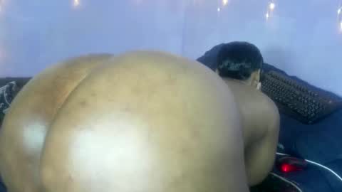 wilmaassylum online show from October 22, 8:30 am