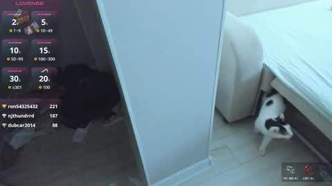 Mei online show from February 5, 11:30 pm