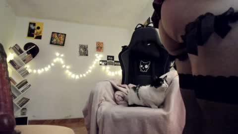 paola online show from January 29, 11:35 pm