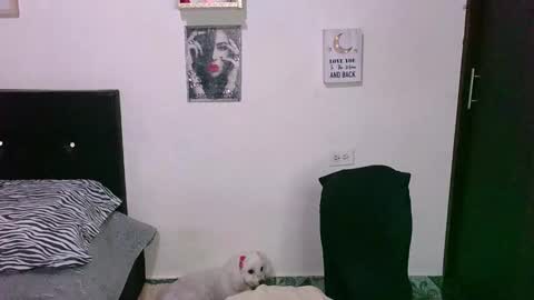 zaray online show from December 19, 1:32 am