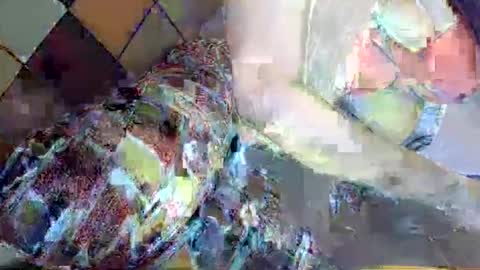 zimzim_ online show from June 1, 9:27 pm