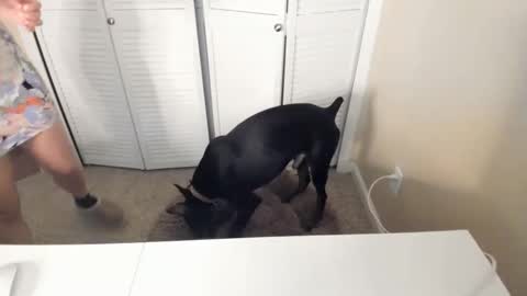 Zoie online show from January 7, 9:07 pm