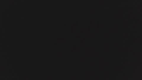 ZURY   online show from October 24, 11:28 am