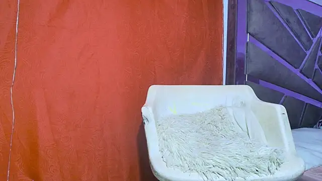 Snapshot of roxana_collins chatting on September 21, 9:19 am roxana collins online show from September 21, 9:19 am