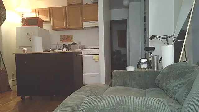 Snapshot of SiminFox chatting on October 2, 3:11 am SiminFox online show from October 2, 3:11 am