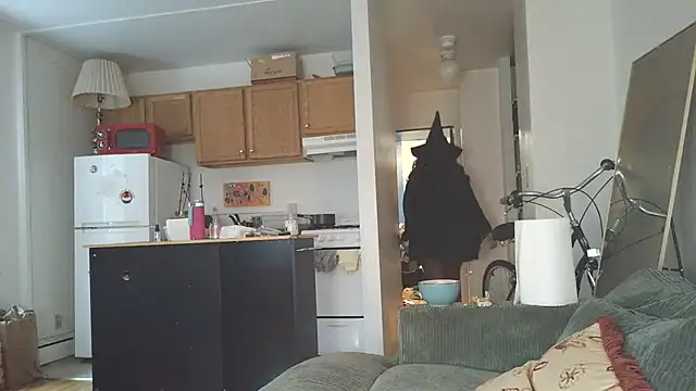 SiminFox online show from October 31, 7:51 pm