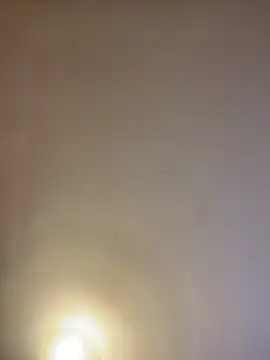 asianmama888 online show from February 24, 12:43 am