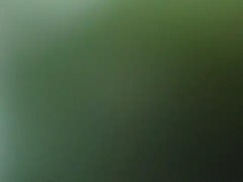 Tujo islam online show from November 27, 1:47 pm