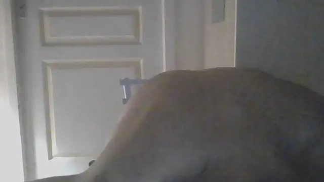 Snapshot of vinzz49 chatting on September 14, 5:27 am vinzz49 online show from September 14, 5:27 am