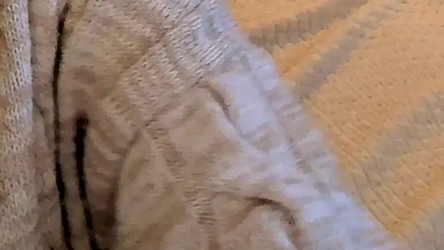 IceDanielles online show from October 27, 1:50 pm