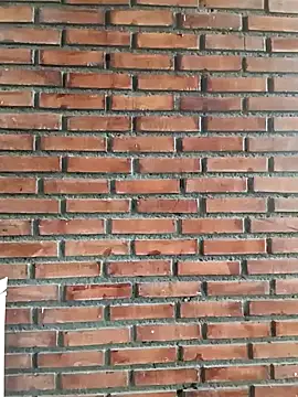 -Anny online show from November 18, 2:40 pm