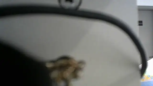 lovense test04 online show from September 19, 2:43 am