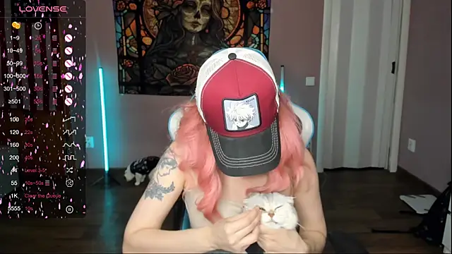 Project hisoka online show from November 6, 4:07 am