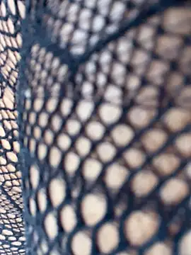 Ravishing Rubi online show from March 21, 8:19 am