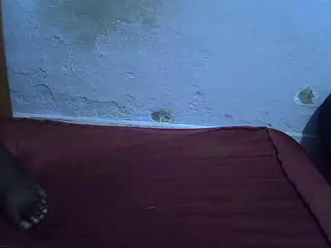 skinnysexynaughty online show from February 3, 9:18 pm