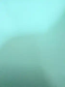 ZTahya online show from December 14, 3:45 am