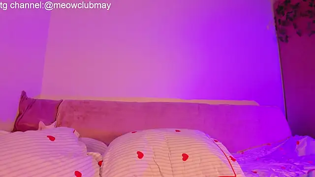 may meowww online show from November 13, 7:29 am