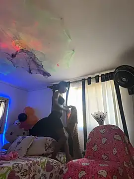 touchm cockhard online show from October 19, 8:22 pm