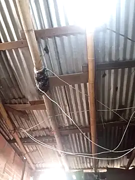 Alanagracia online show from November 15, 12:17 pm