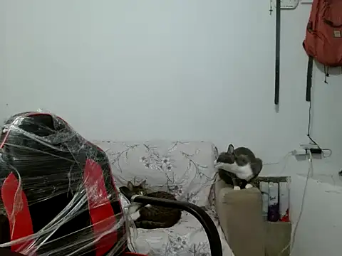 miriam775 online show from September 19, 12:04 pm