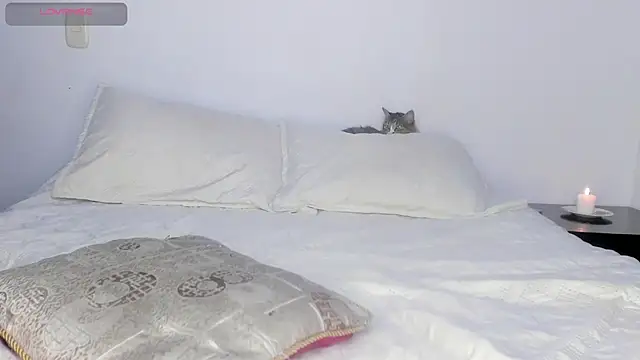 salome lee online show from October 26, 2:18 am