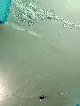 hotrasina online show from September 16, 7:27 am