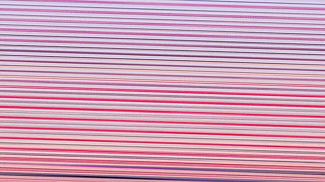 Annieefoxx online show from November 7, 2:55 pm