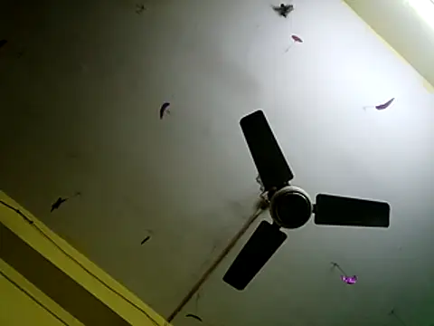 Sexyranibhabhi online show from December 14, 2:17 am