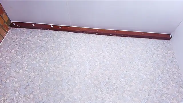 nicol f online show from November 21, 3:08 am