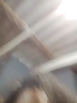 pretinhanovinha online show from February 6, 3:21 am