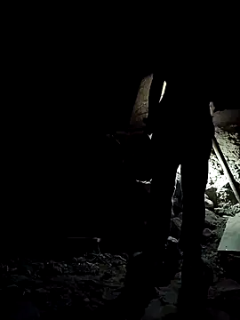 lit702 online show from November 15, 12:17 pm