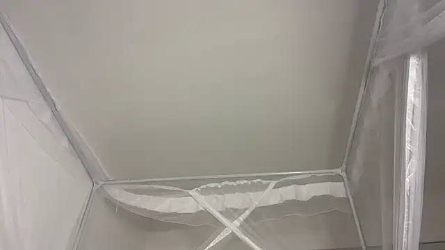 shandiloveslemonss online show from December 20, 8:07 am