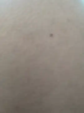 zil56 online show from October 12, 3:25 pm