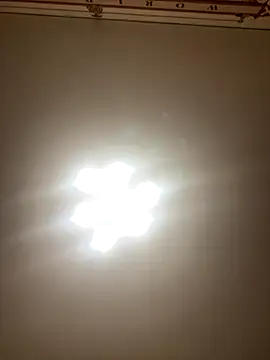 Janet Welder online show from October 3, 10:04 pm