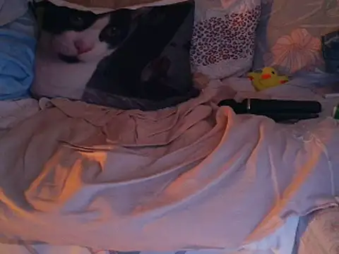 VeneRed online show from November 30, 7:40 pm