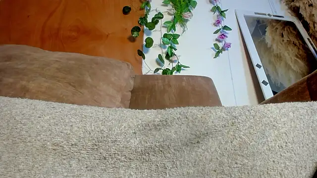 adhara hotter online show from February 11, 8:43 pm