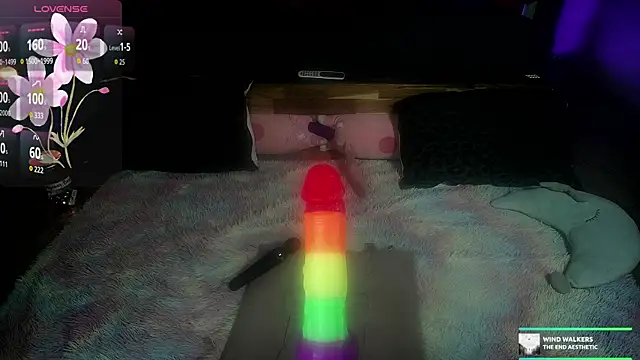 kellycakemeow online show from November 13, 5:39 am