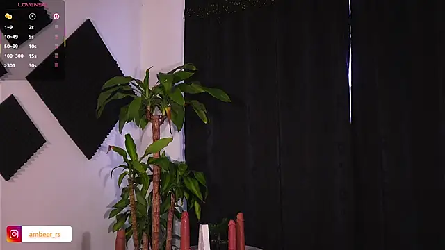 Ambeer Rousess online show from February 21, 11:38 pm