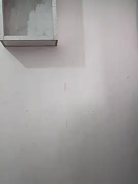 cute monu online show from November 12, 3:37 am