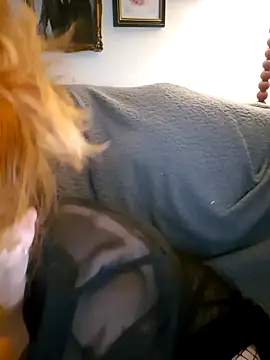 Snapshot of inky_ginge chatting on September 23, 7:56 pm inky ginge online show from September 23, 7:56 pm