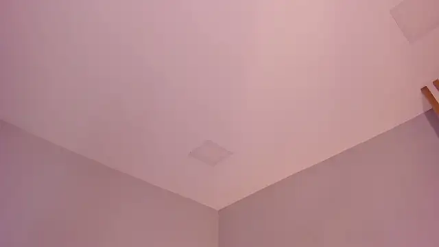 sara  jones gh online show from February 12, 7:48 pm