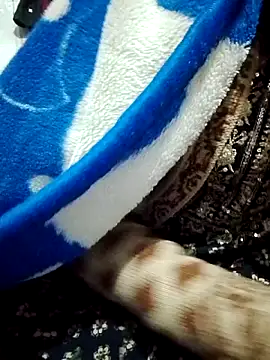 saaniya online show from January 5, 7:17 pm